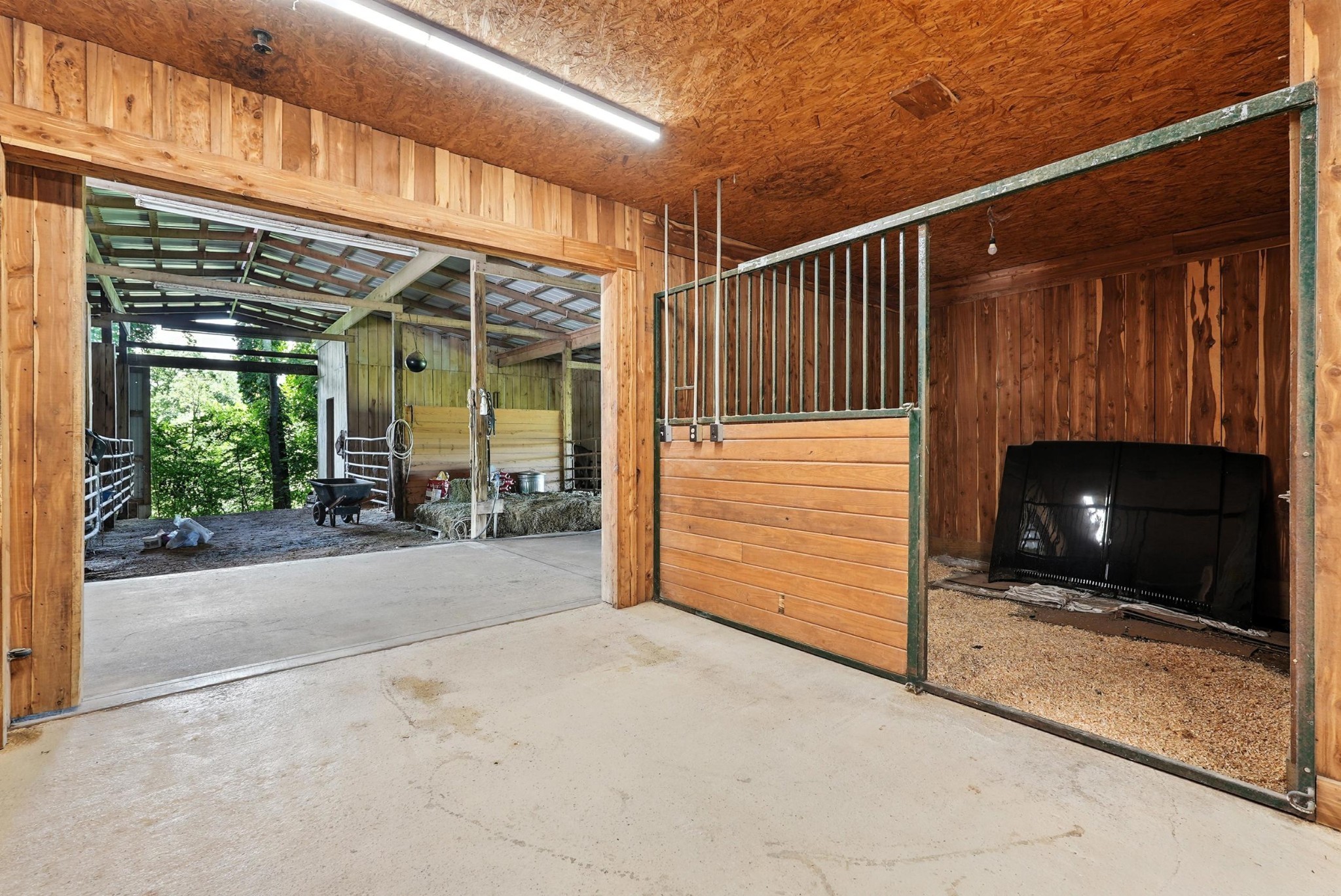 1880 Clydeton Road Waverly, TN 37185 - Photo 19 of 85 a view of a door of the house and outdoor space
