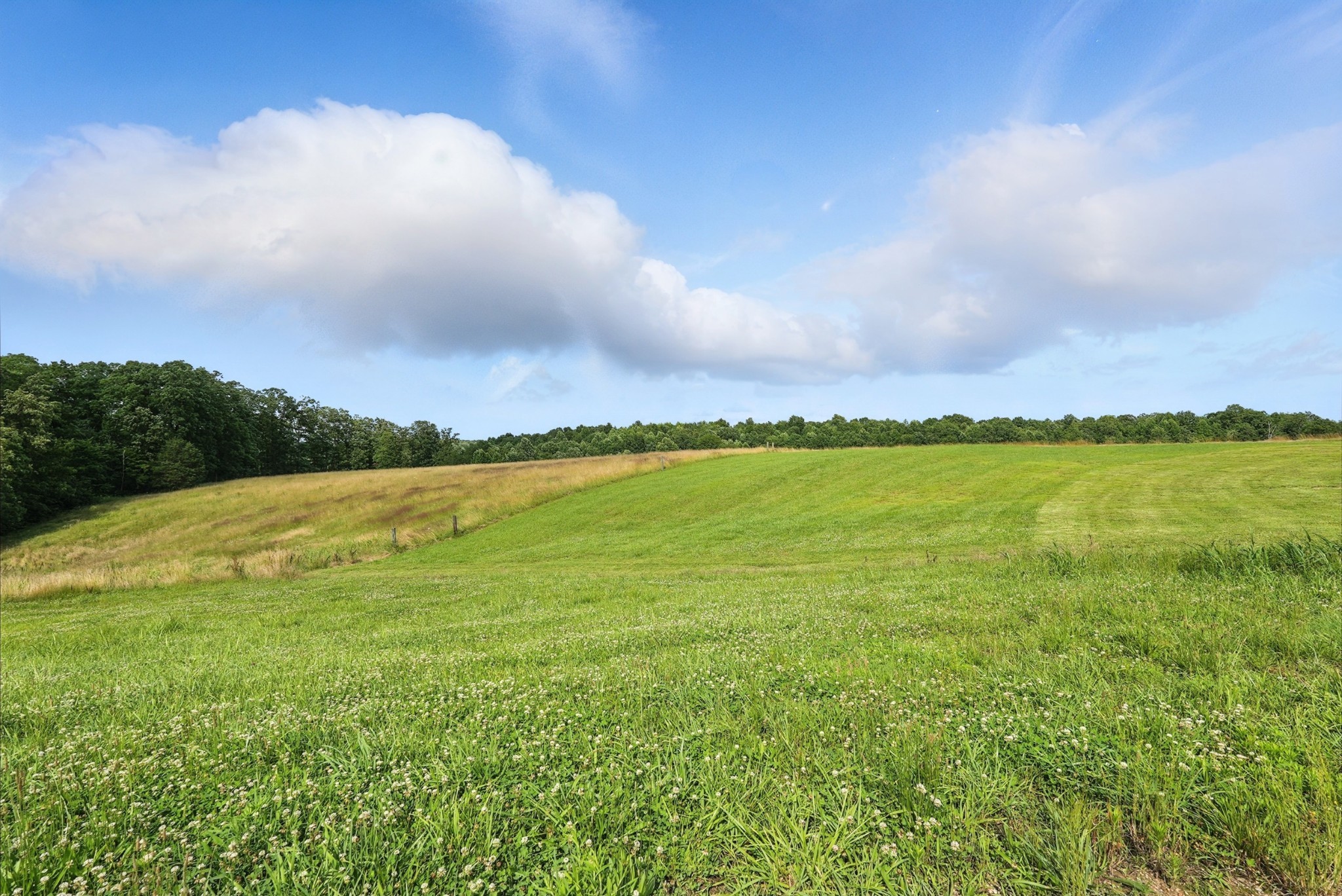 1880 Clydeton Road Waverly, TN 37185 - Photo 35 of 85