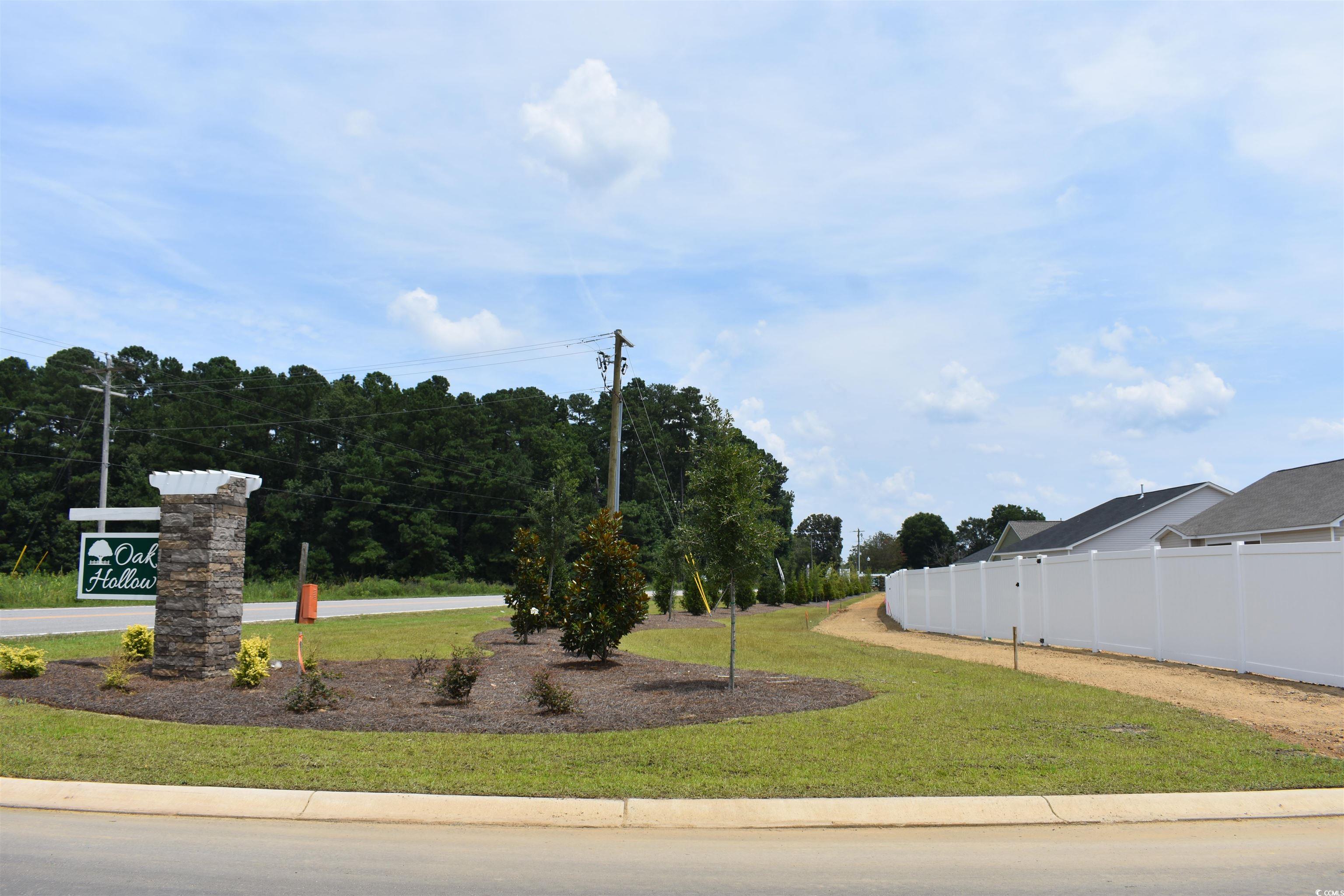 318 Box Elder Way Longs, SC 29568 - Photo 22 of 30