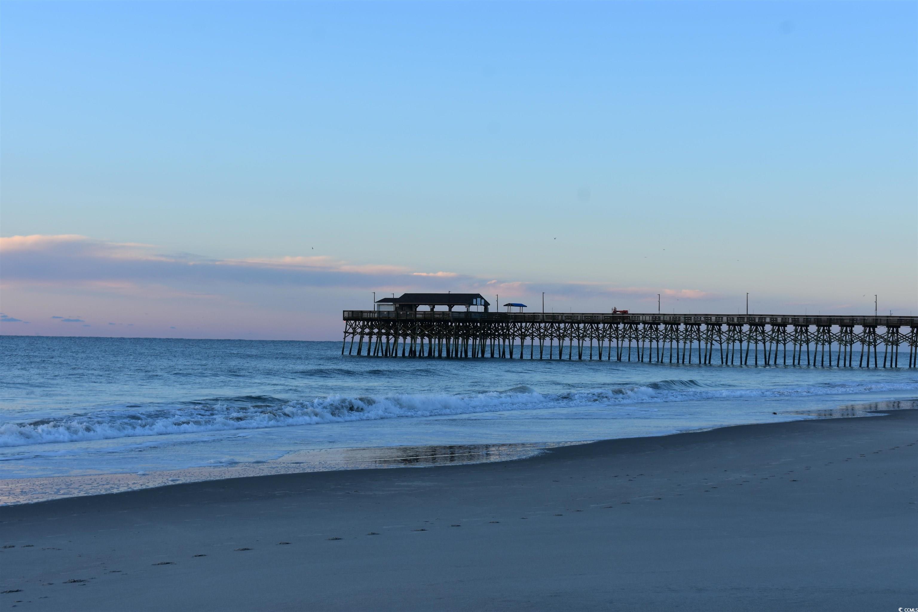 318 Box Elder Way Longs, SC 29568 - Photo 29 of 30