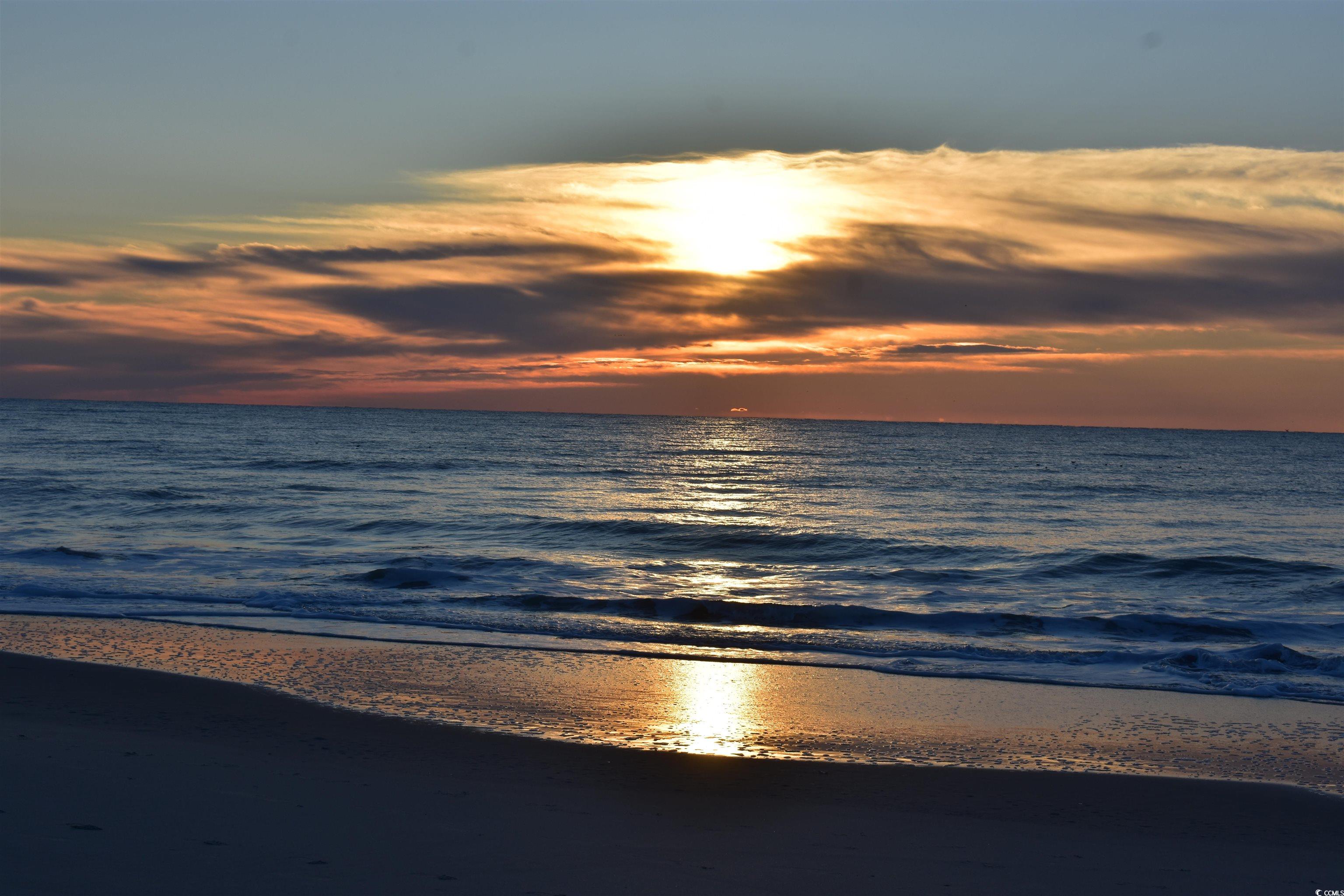 318 Box Elder Way Longs, SC 29568 - Photo 30 of 30