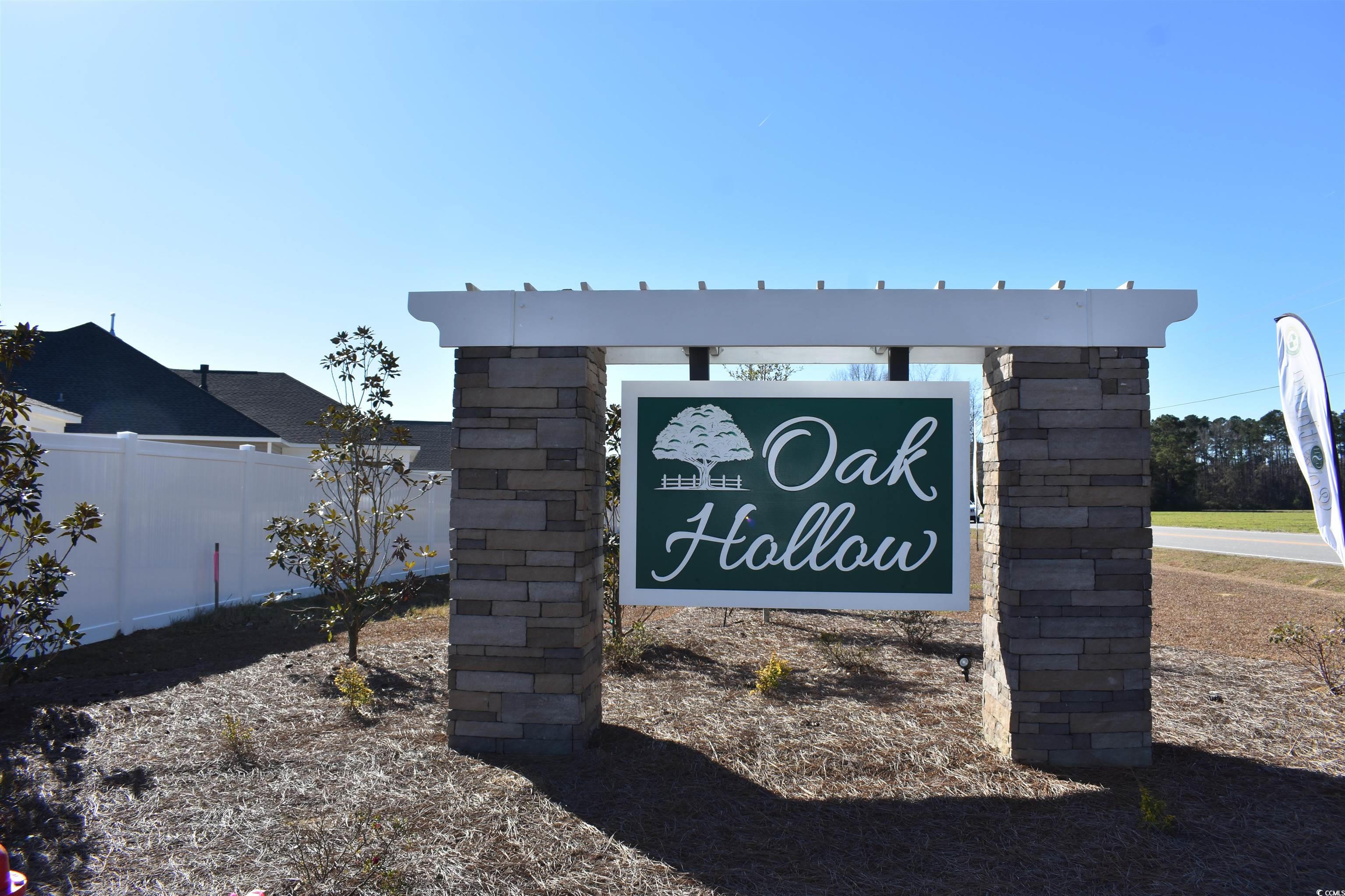 318 Box Elder Way Longs, SC 29568 - Photo 4 of 30