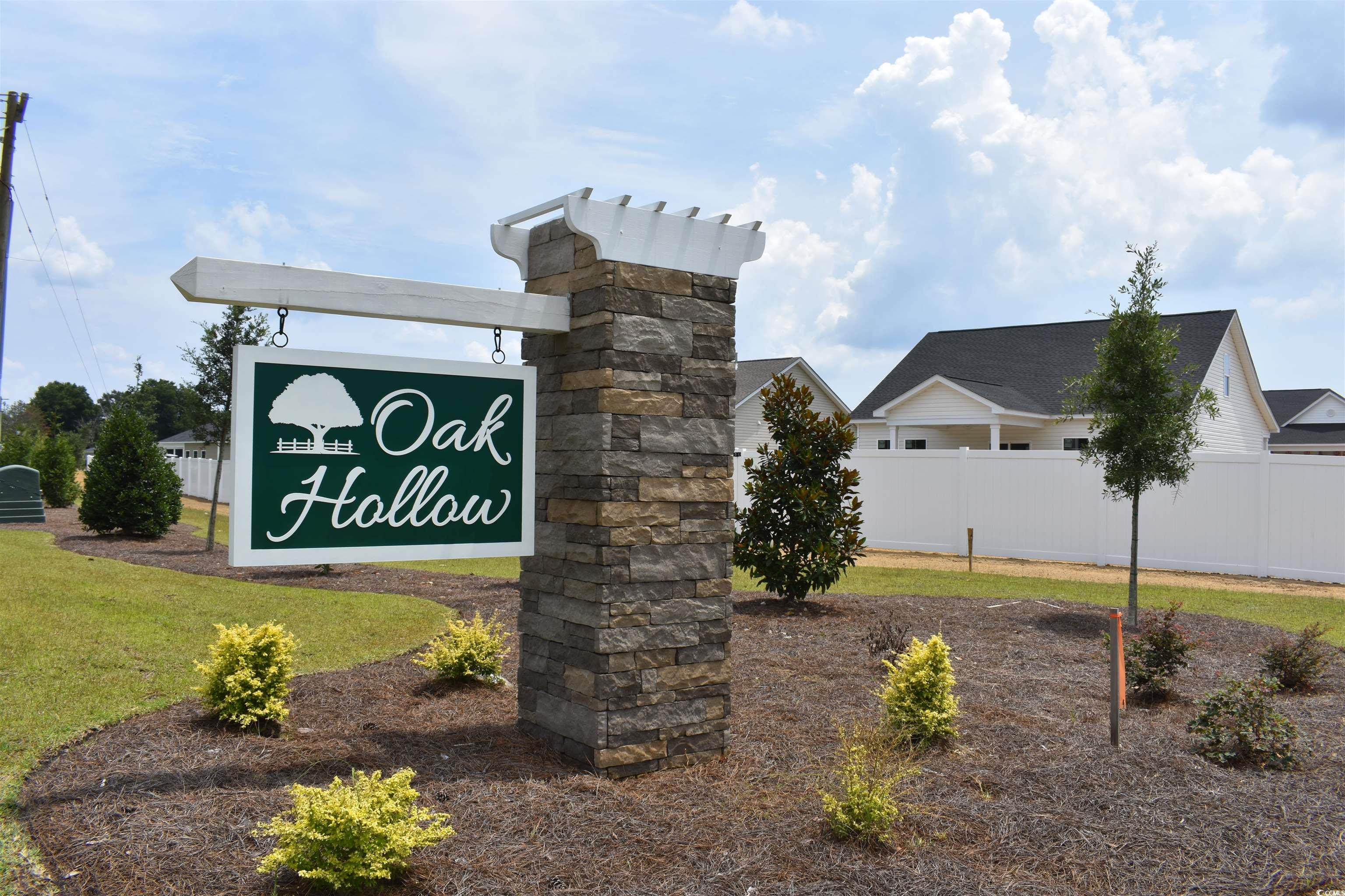 318 Box Elder Way Longs, SC 29568 - Photo 5 of 30