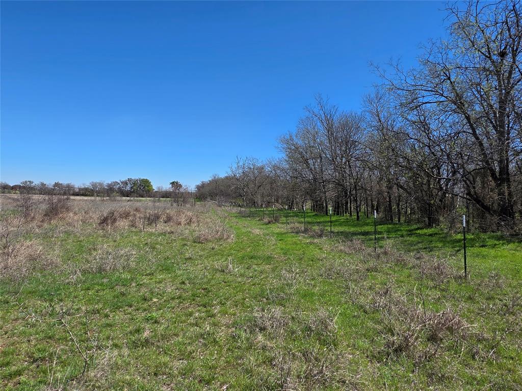 309 Highway 36 Gustine, TX 76455 - Photo 22 of 36 a view of a field with a tree in the background
