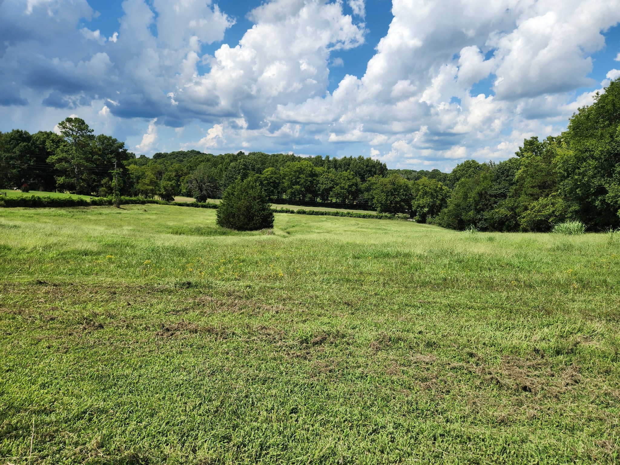 1963 Hidden Hills Road Pulaski, TN 38478 - Photo 12 of 29 Gallery Image 12