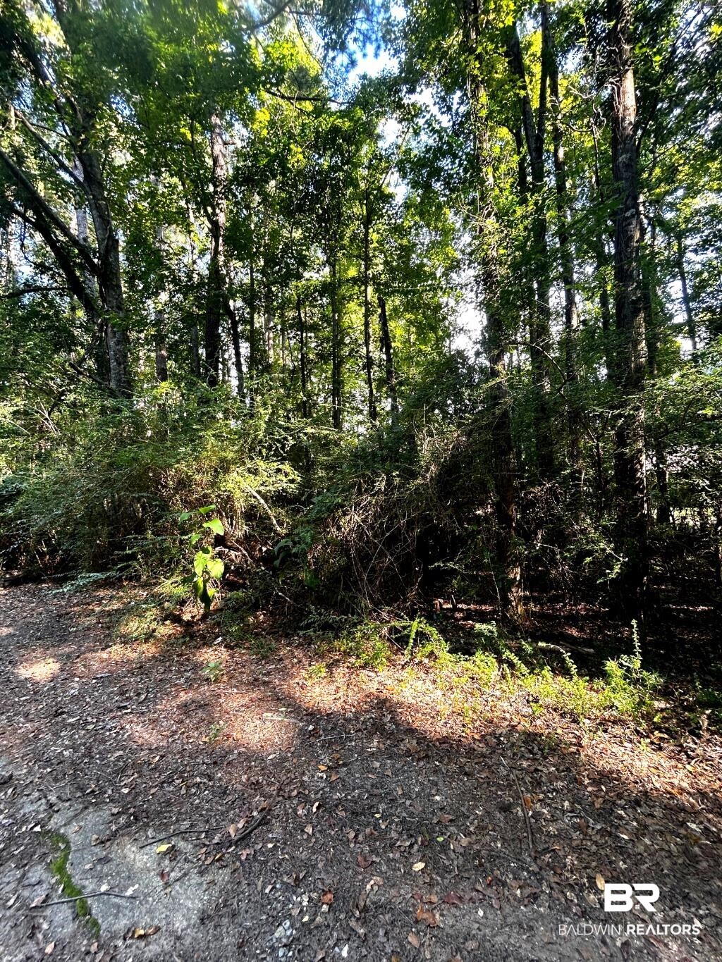 20708 Allen Street Mount Vernon, AL 36560 - Photo 2 of 4 Gallery Image 2