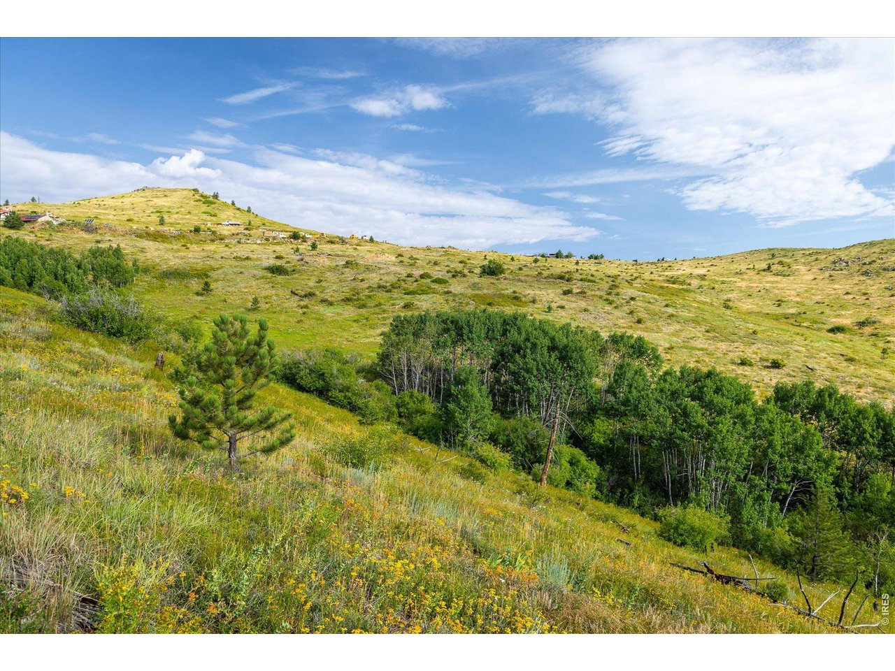 730 Lost Angel Road Boulder, CO 80302 - Photo 22 of 30