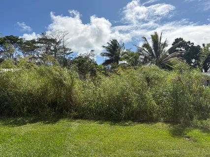 $25,000 | 335 Honu Street, Pahoa, HI 96778