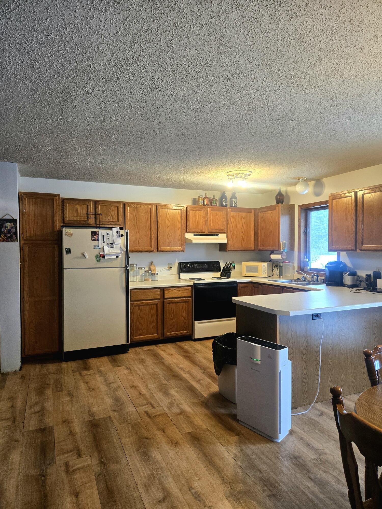 7887 Randolph Street Vanderbilt, MI 49795 - Photo 11 of 34 20260322_102716