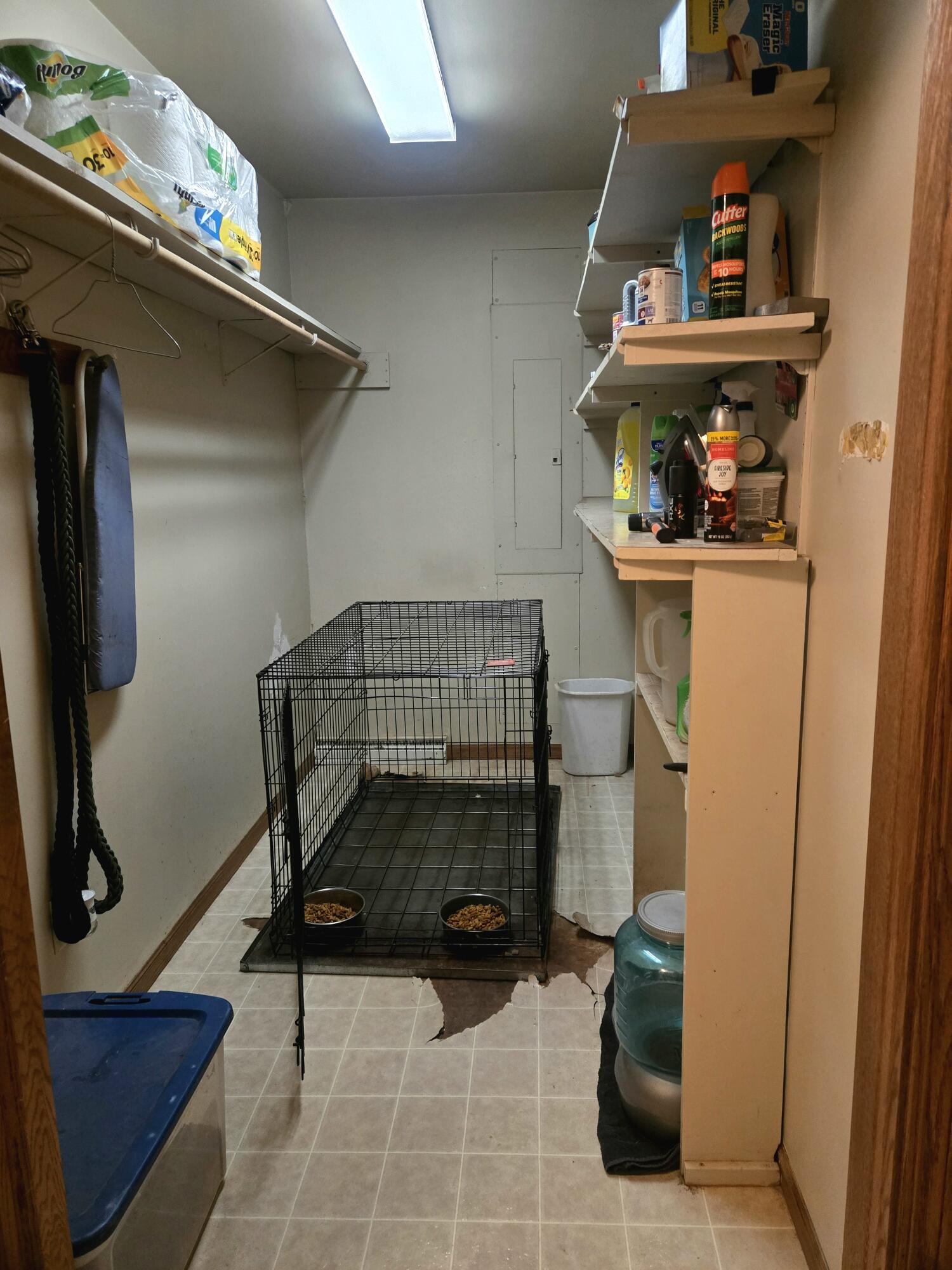 7887 Randolph Street Vanderbilt, MI 49795 - Photo 22 of 34 20260322_100453