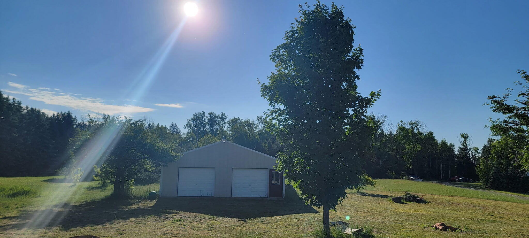 7887 Randolph Street Vanderbilt, MI 49795 - Photo 33 of 34 IMG_20260322_185340 (2)