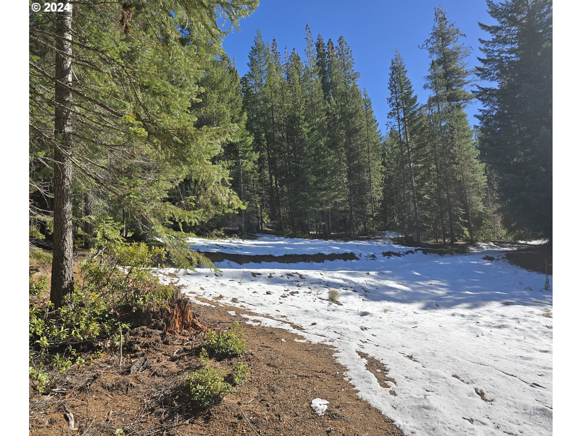 6 Royce Pine Road Crescent Lake, OR 97733 - Photo 2 of 6
