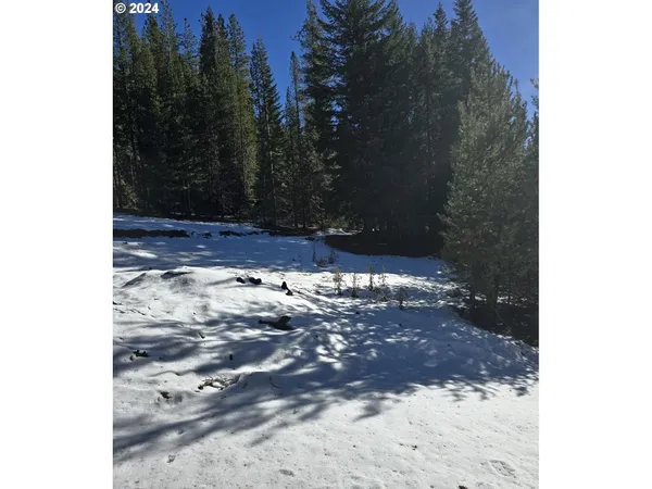 $150,000 | 6 Royce Pine Road, Crescent Lake, OR 97733