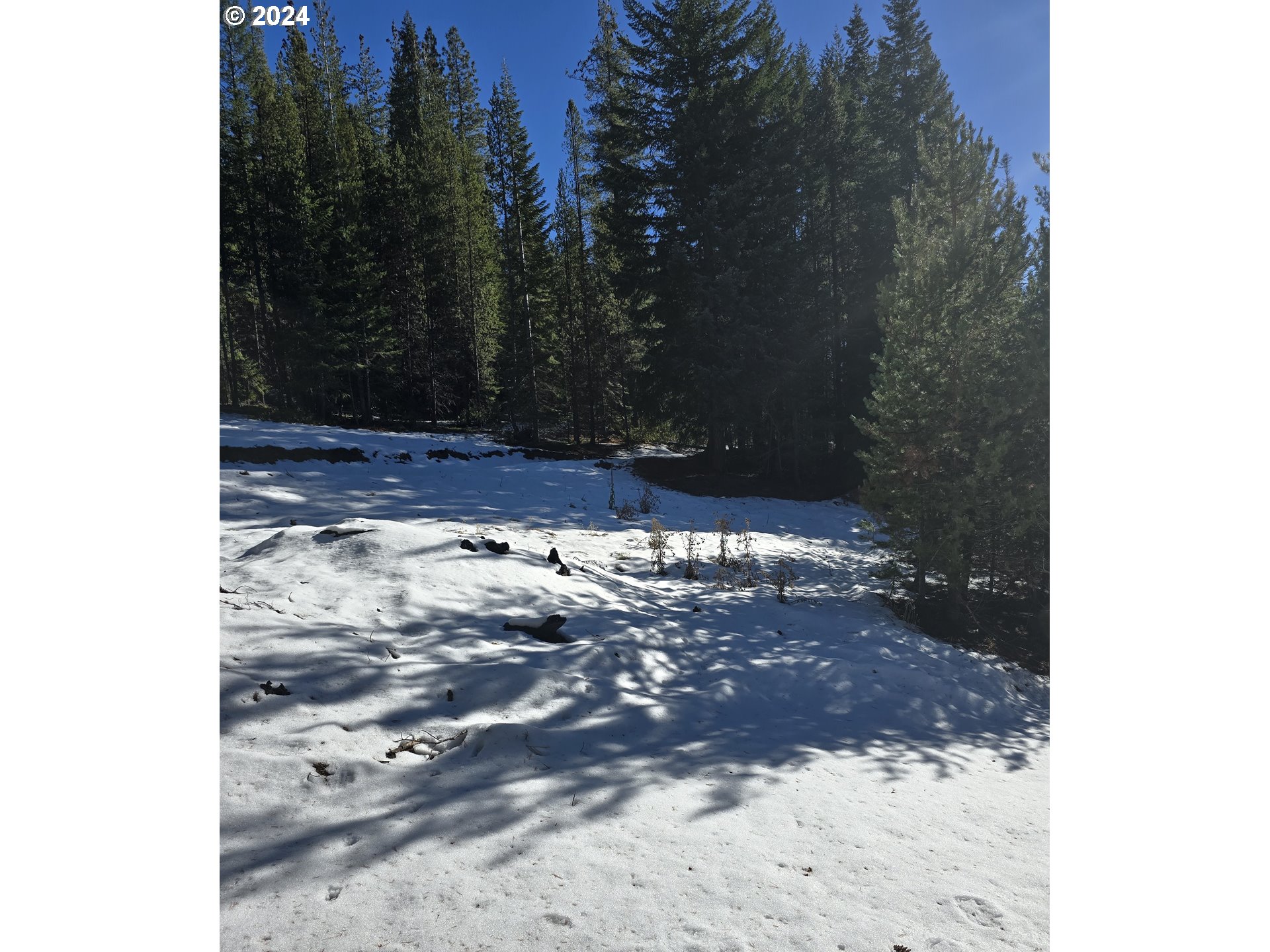 6 Royce Pine Road Crescent Lake, OR 97733 - Photo 3 of 6