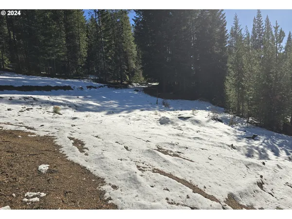 $150,000 | 6 Royce Pine Road, Crescent Lake, OR 97733