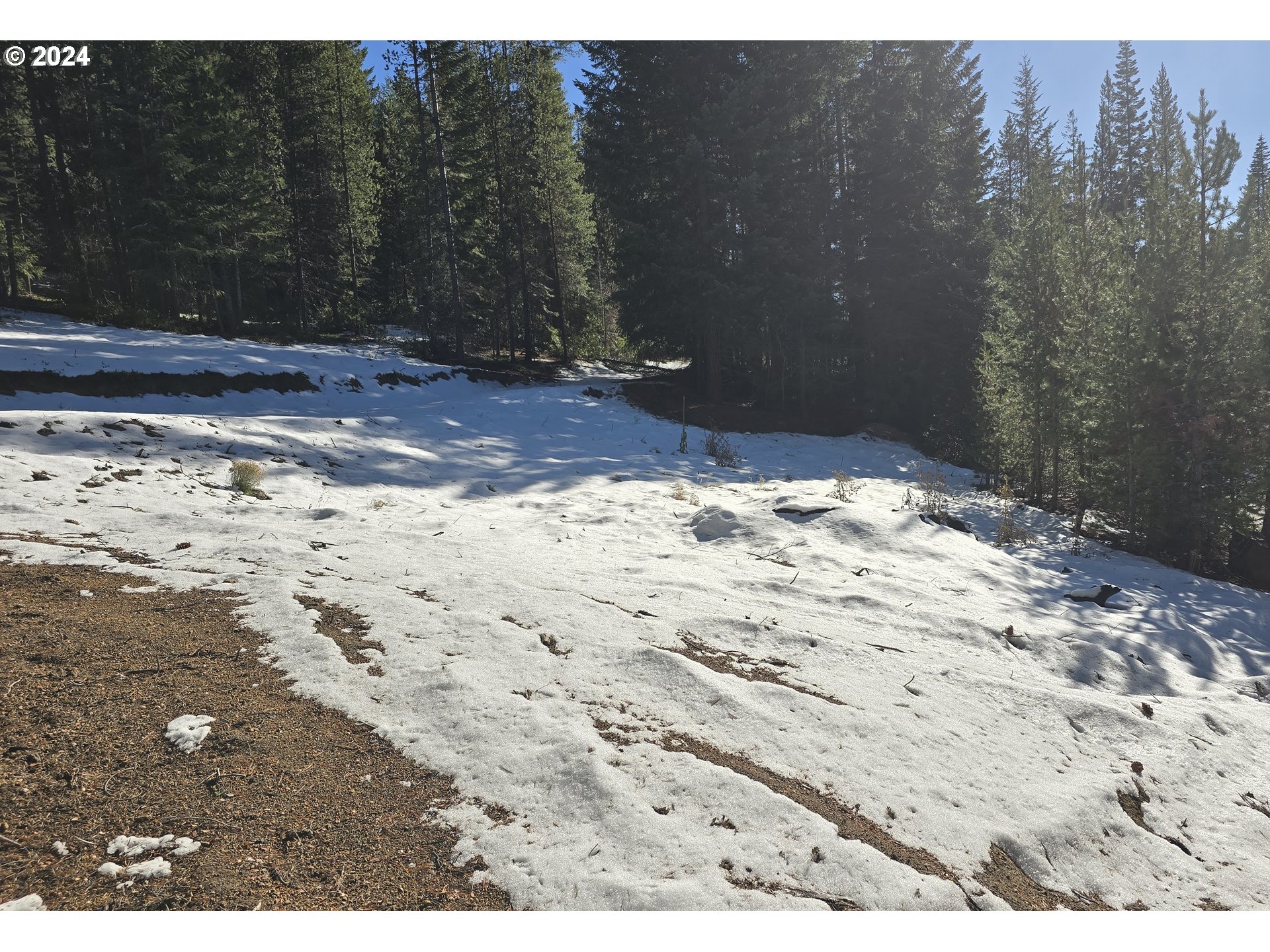 6 Royce Pine Road Crescent Lake, OR 97733 - Photo 4 of 6