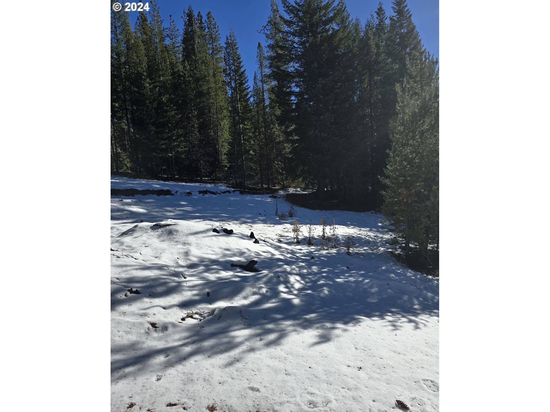 6 Royce Pine Road Crescent Lake, OR 97733 - Photo 5 of 6