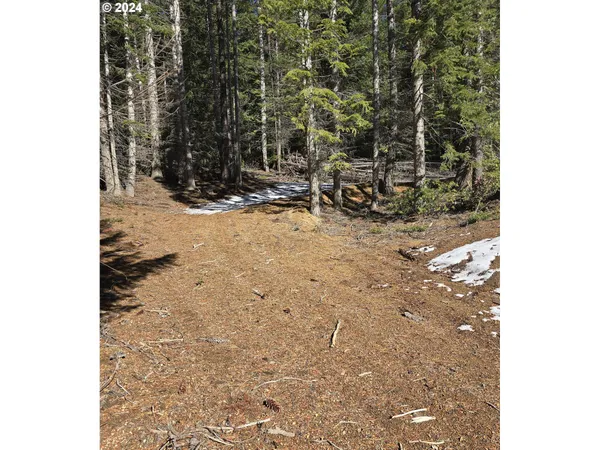 $150,000 | 6 Royce Pine Road, Crescent Lake, OR 97733