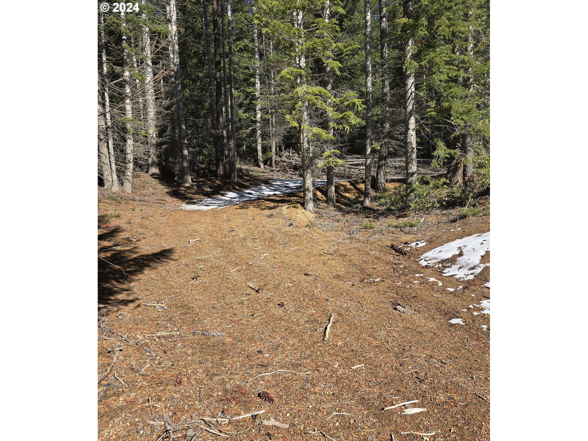 6 Royce Pine Road Crescent Lake, OR 97733 - Photo 6 of 6