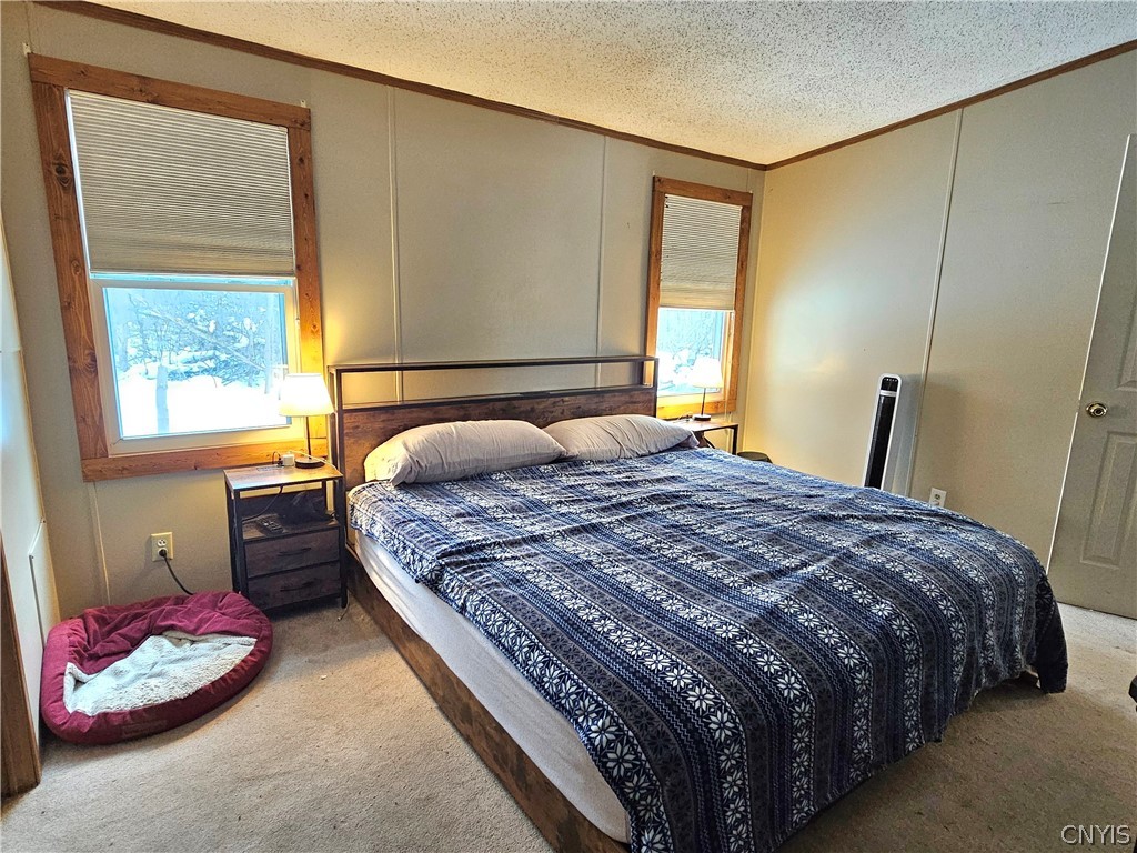 383 Peter Scott Road Schroeppel, NY 13132 - Photo 17 of 49