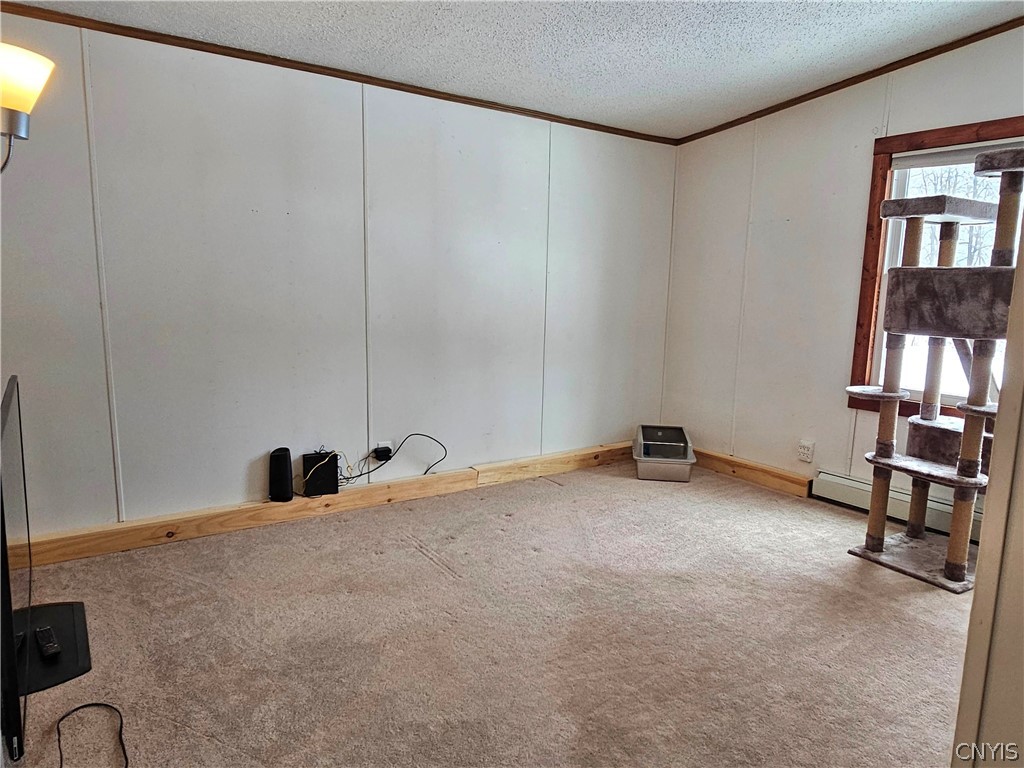 383 Peter Scott Road Schroeppel, NY 13132 - Photo 20 of 49