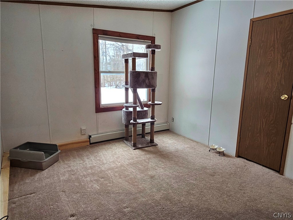 383 Peter Scott Road Schroeppel, NY 13132 - Photo 21 of 49