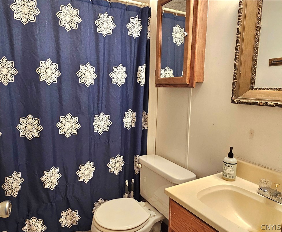 383 Peter Scott Road Schroeppel, NY 13132 - Photo 22 of 49