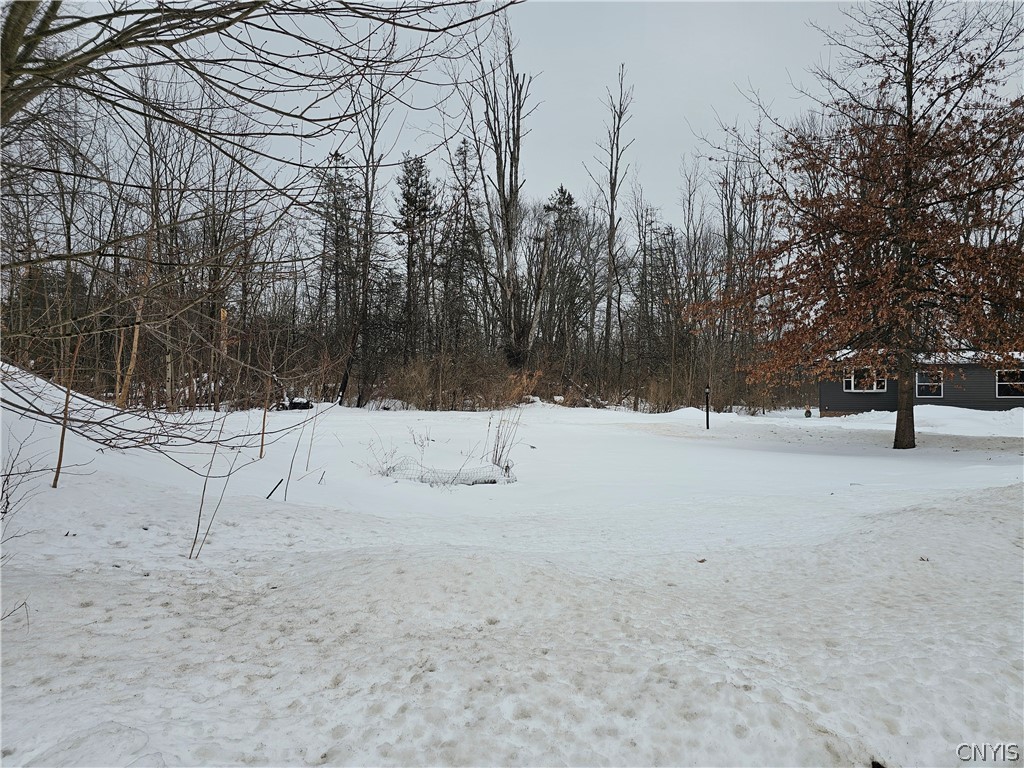 383 Peter Scott Road Schroeppel, NY 13132 - Photo 27 of 49