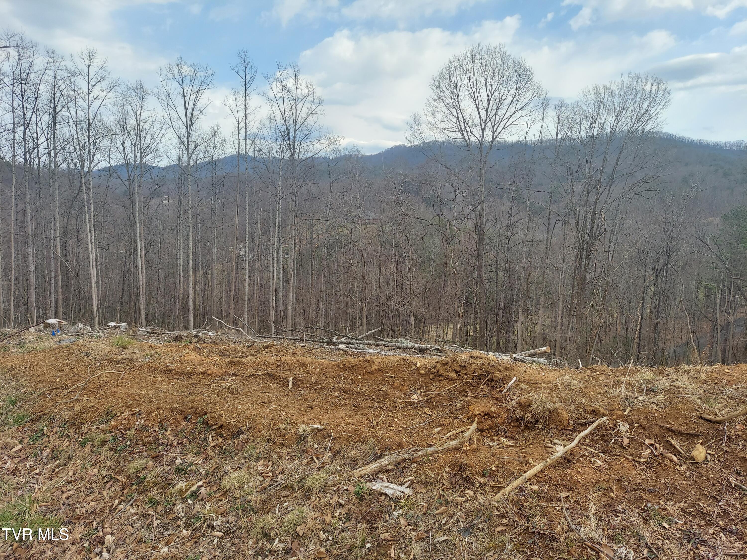 Lot 73 Golf Course Road, Unit 73 Unicoi, TN 37692 - Photo 2 of 2 20240226_130712