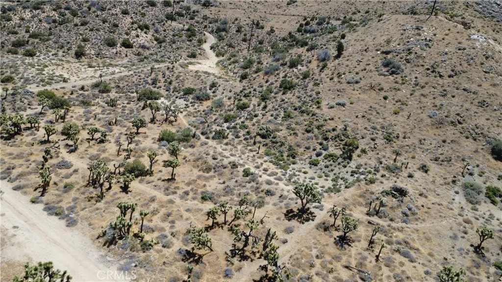 5851317 San Andreas Road Yucca Valley, CA 92284 - Photo 5 of 22