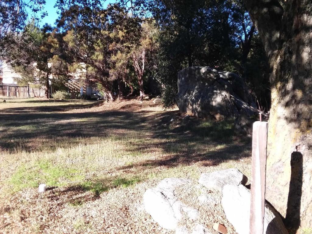 Gladiola Drive Campo, CA 91906 - Photo 11 of 11 a view of yard covered with snow in outdoor space