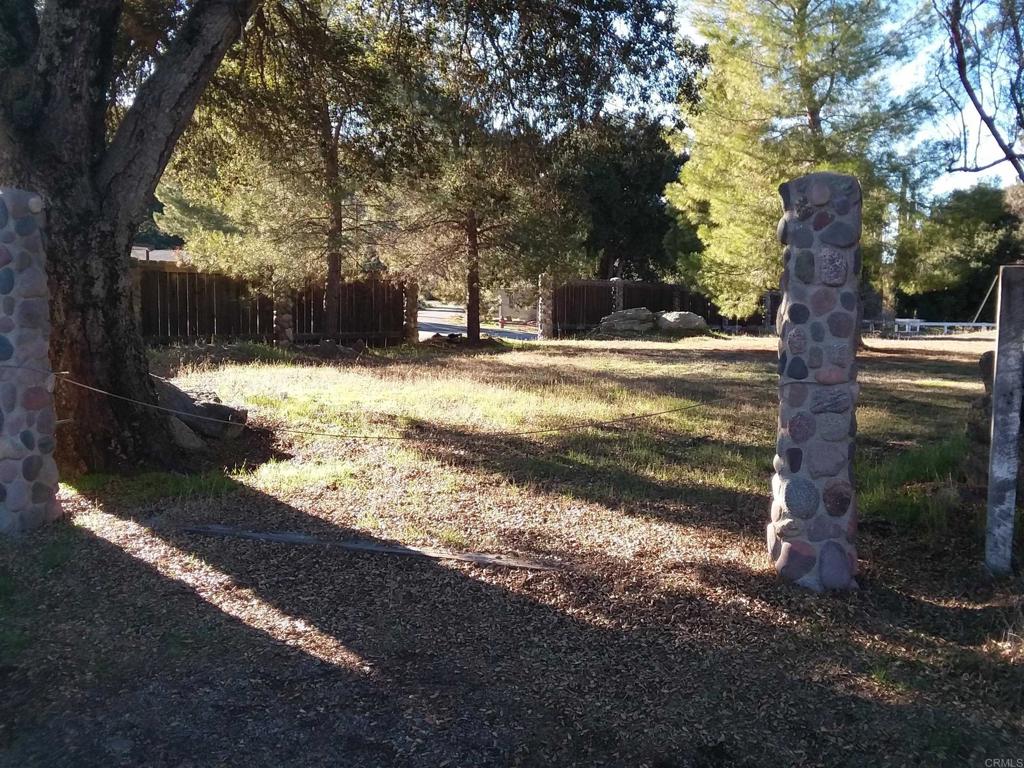 Gladiola Drive Campo, CA 91906 - Photo 5 of 11 a view of a yard with large tree
