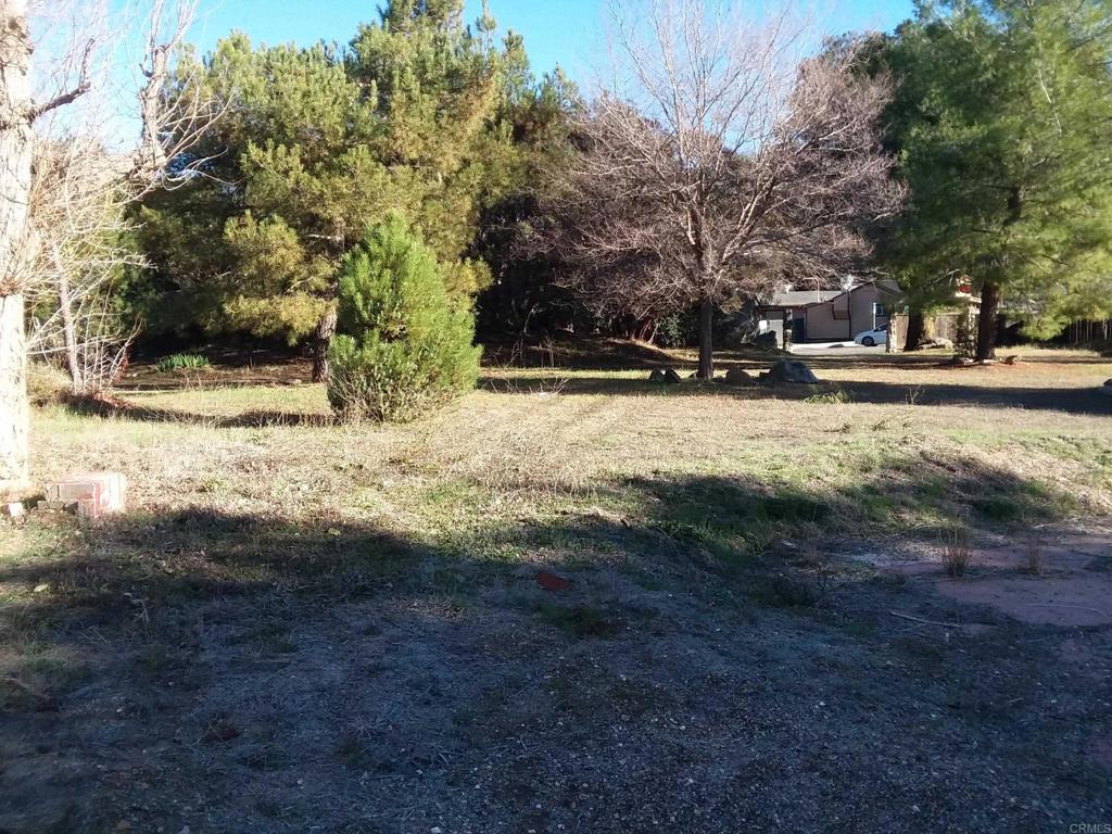 Gladiola Drive Campo, CA 91906 - Photo 10 of 11 a view of road with covered with snow