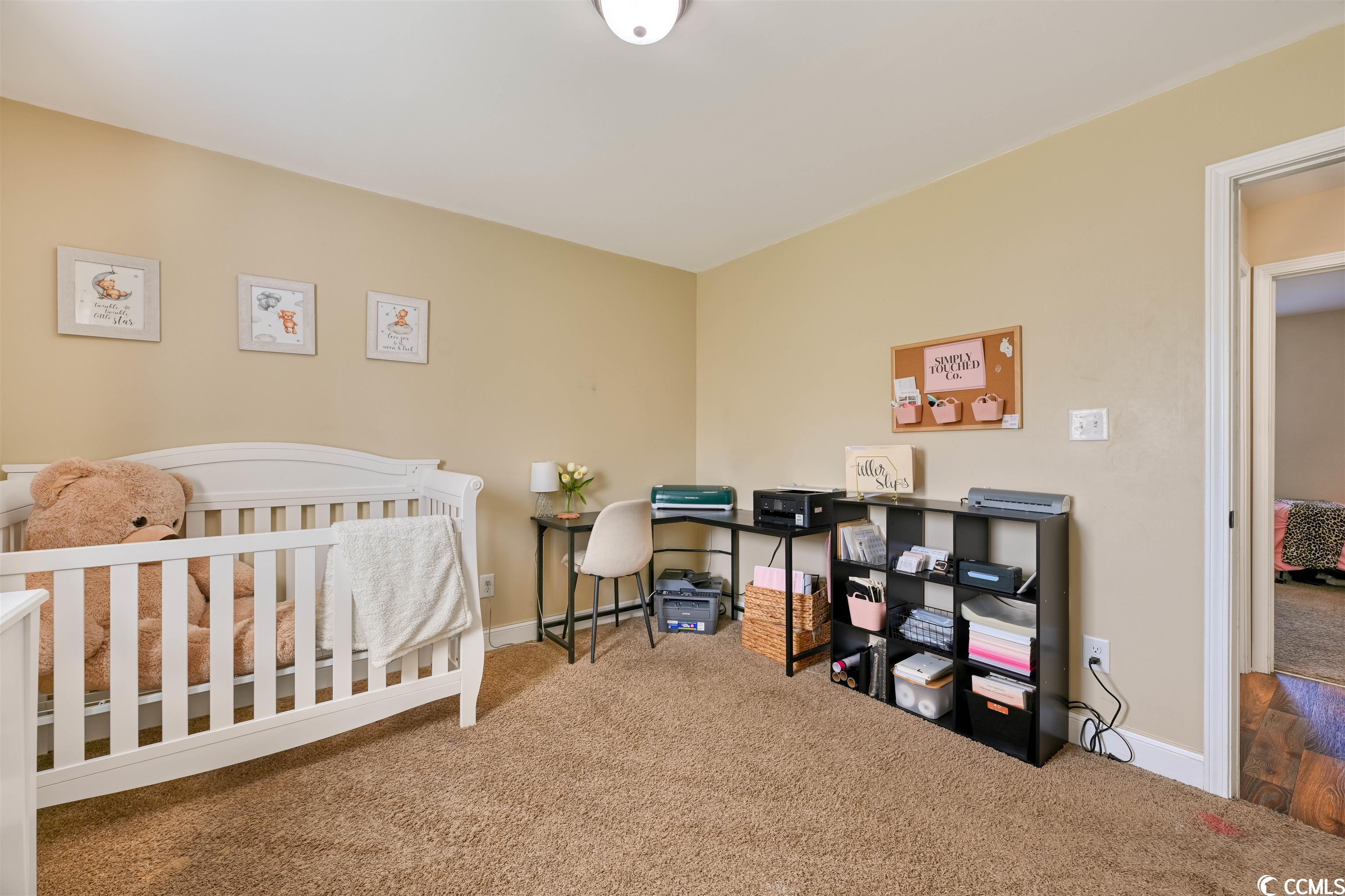 120 Adelphia Road Loris, SC 29569 - Photo 22 of 35 Gallery Image 22