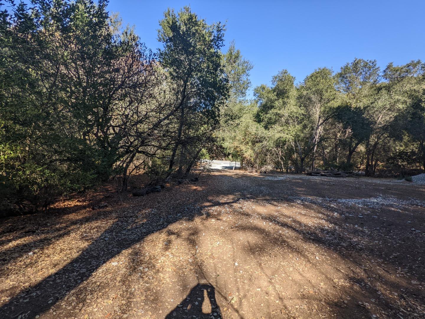Metcalf Road San Jose, CA 95138 - Photo 11 of 17 a view of backyard with tree