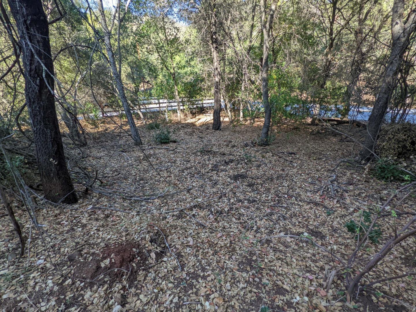 Metcalf Road San Jose, CA 95138 - Photo 12 of 17 a view of a backyard with trees