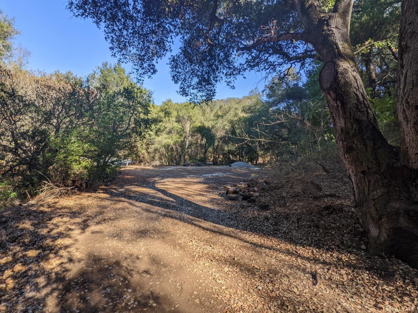 Metcalf Road San Jose, CA 95138 - Photo 16 of 17 a view of a yard with trees
