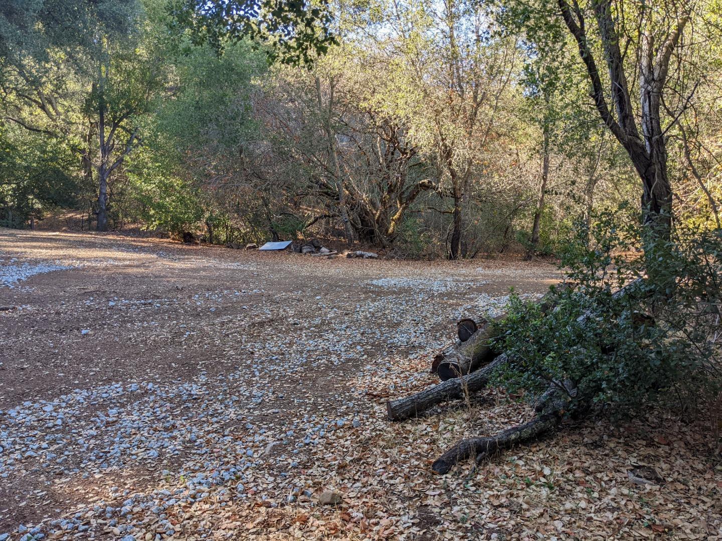 Metcalf Road San Jose, CA 95138 - Photo 2 of 17 a view of a forest with trees