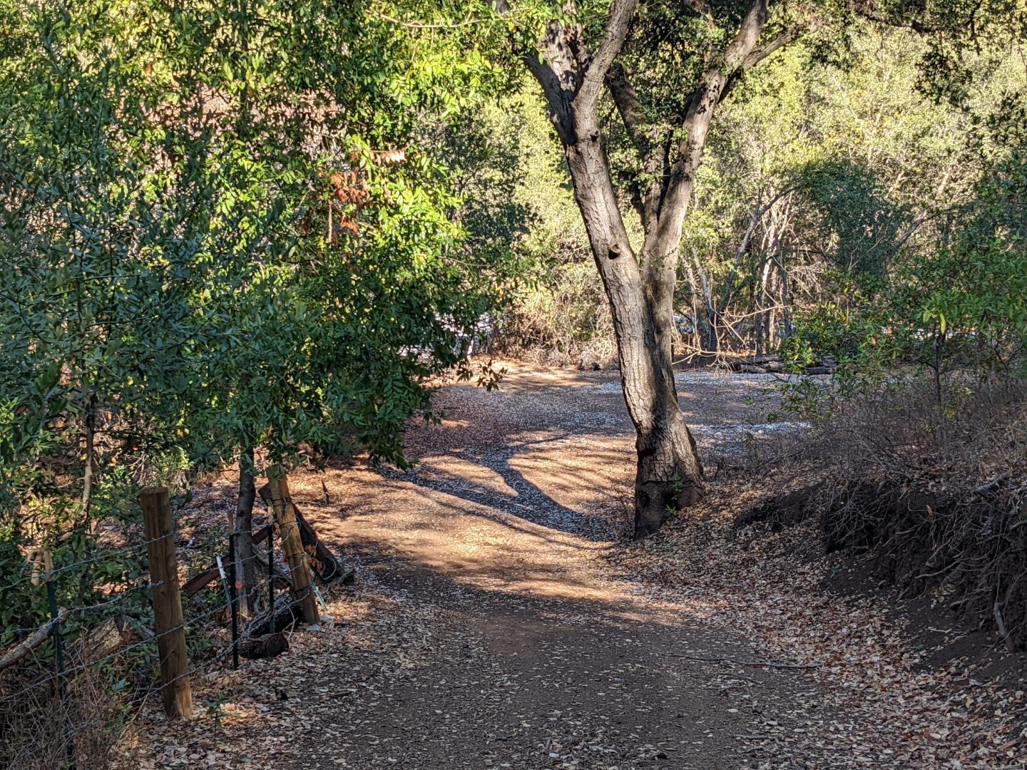 Metcalf Road San Jose, CA 95138 - Photo 3 of 17 a view of a trees with yard
