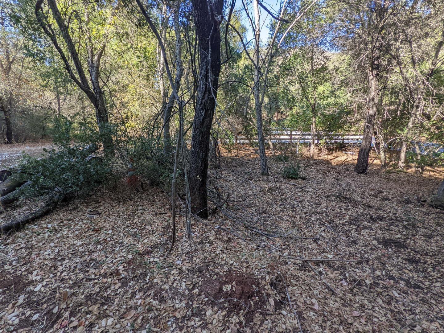 Metcalf Road San Jose, CA 95138 - Photo 7 of 17 a backyard of a house with lots of green space