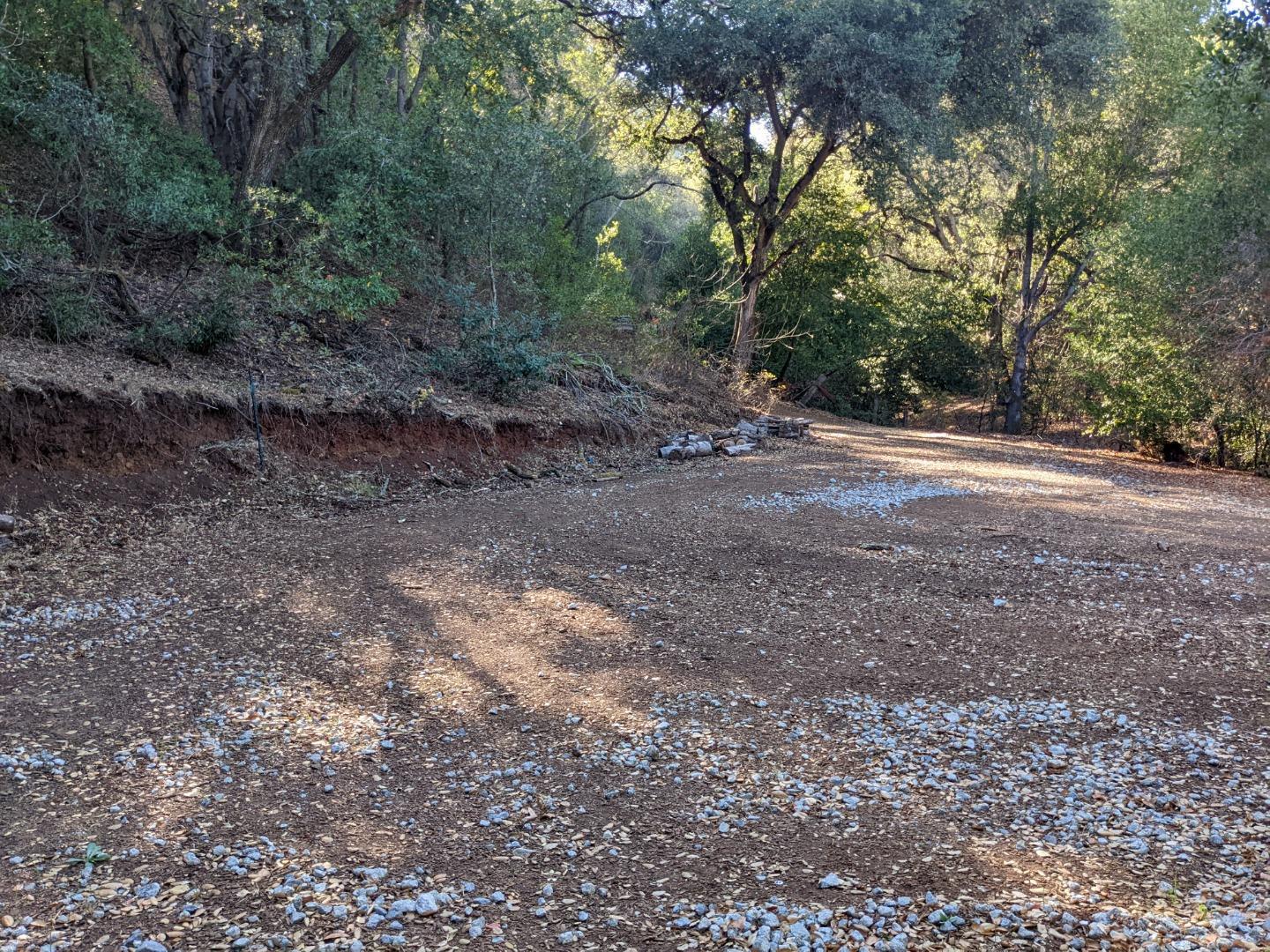 Metcalf Road San Jose, CA 95138 - Photo 10 of 17 a view of a yard with a tree