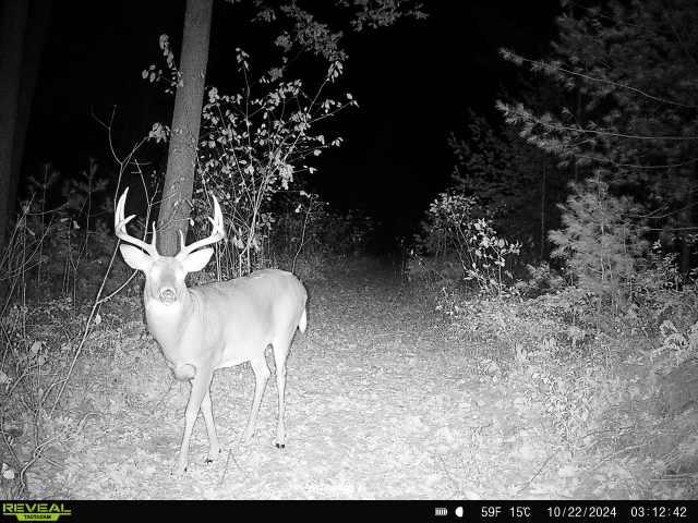 Lot 4 Grayling Tomah, WI 54660 - Photo 44 of 50