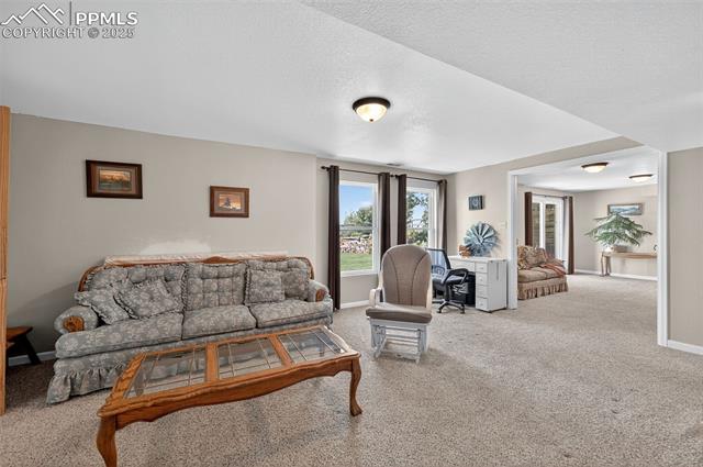 11505 Green Spring Road Colorado Springs, CO 80925 - Photo 28 of 42