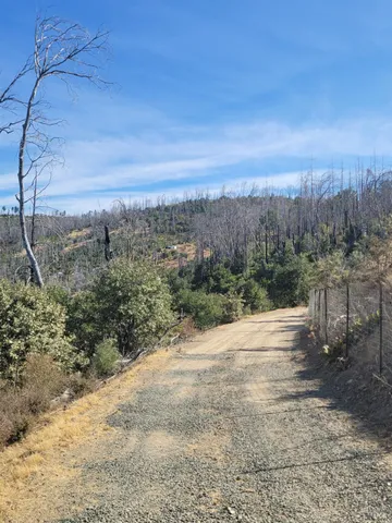 a view of a dry yard
