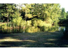 4242 North Louden Road Bloomington, IN 47404 - Photo 7 of 8