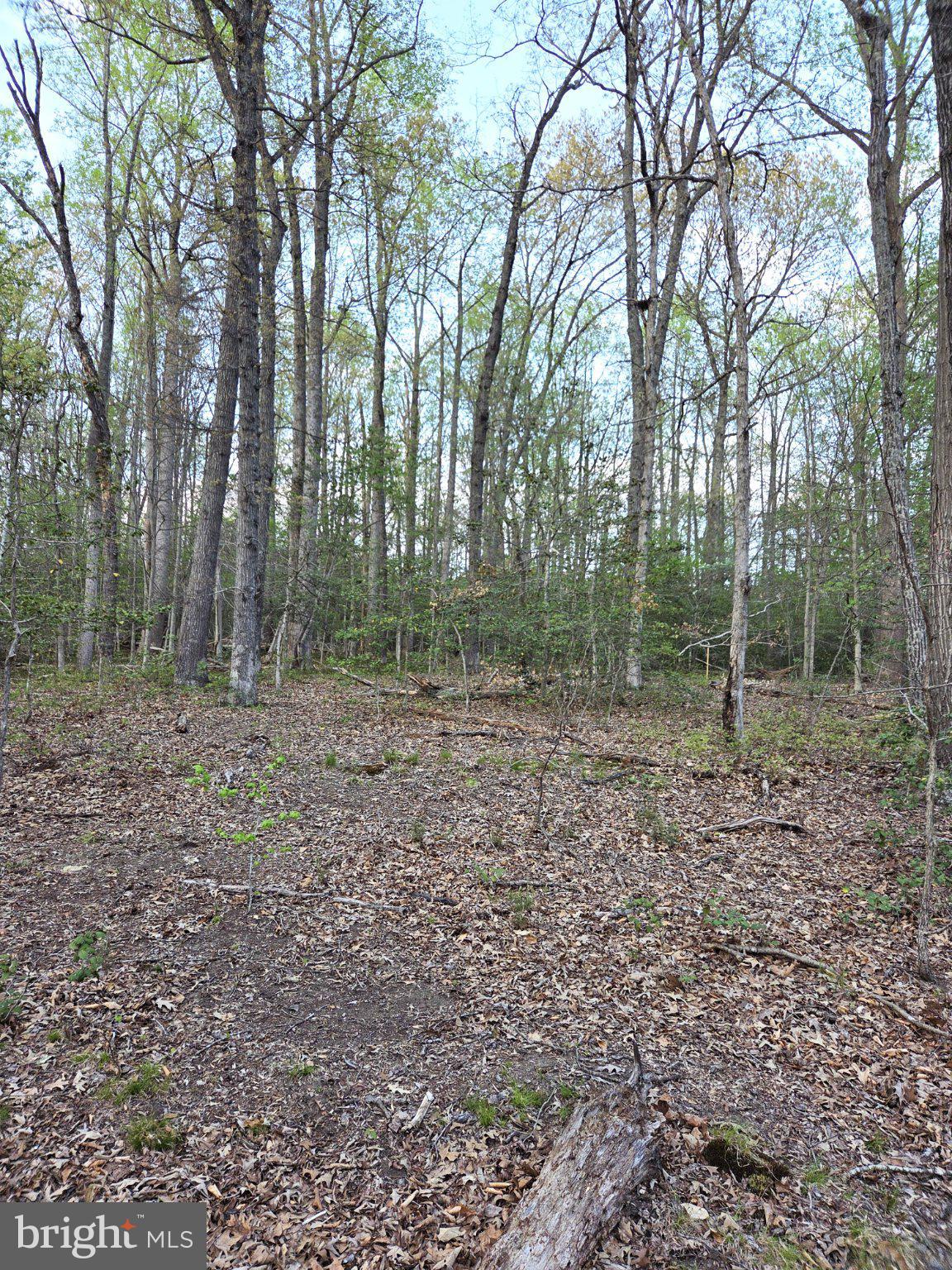 2577 Rutland Road Davidsonville, MD 21035 - Photo 14 of 16 Gallery Image 14