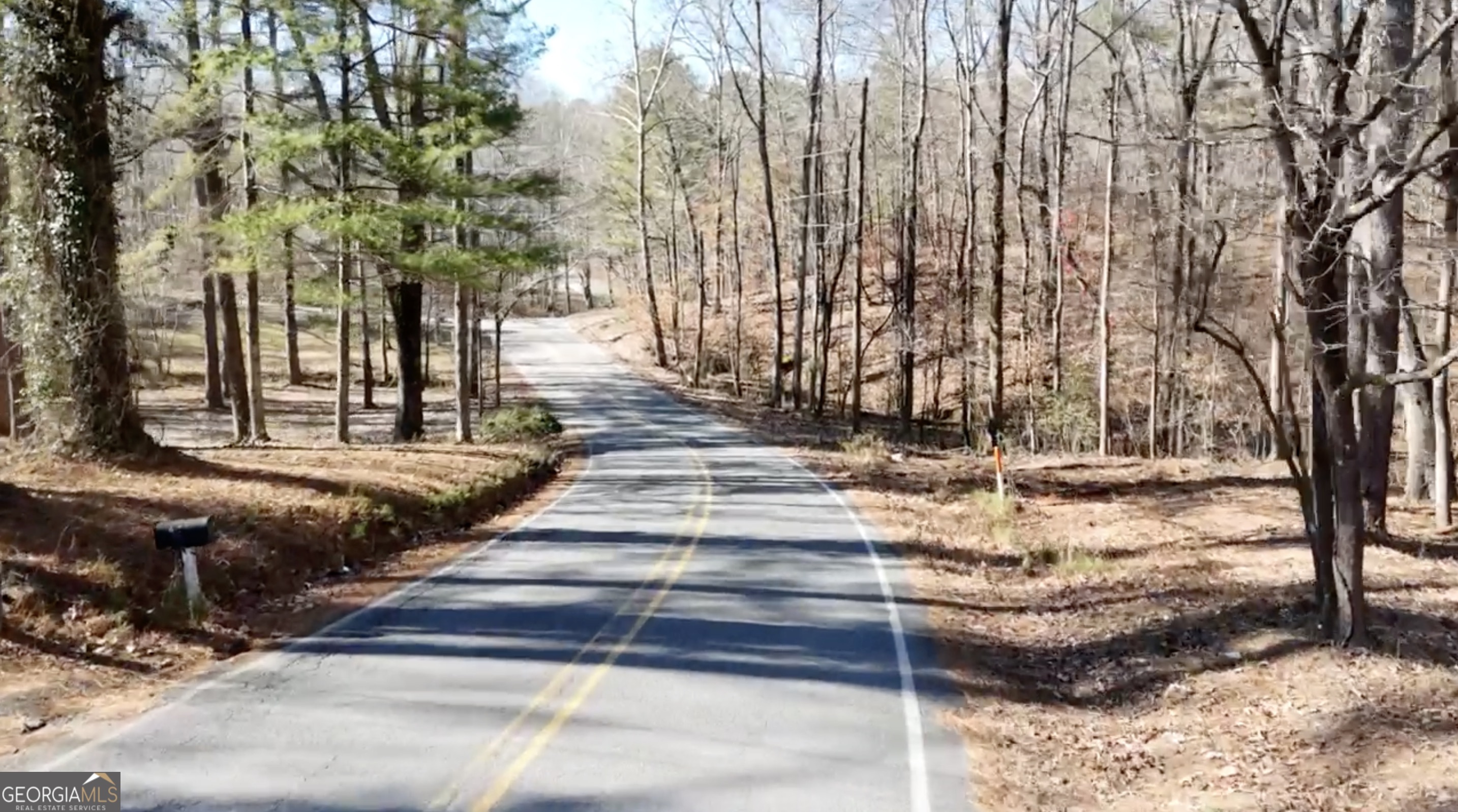 6137 Little Ridge Road, Unit LOT #3 Acworth, GA 30102 - Photo 22 of 39 a view of a yard with large trees