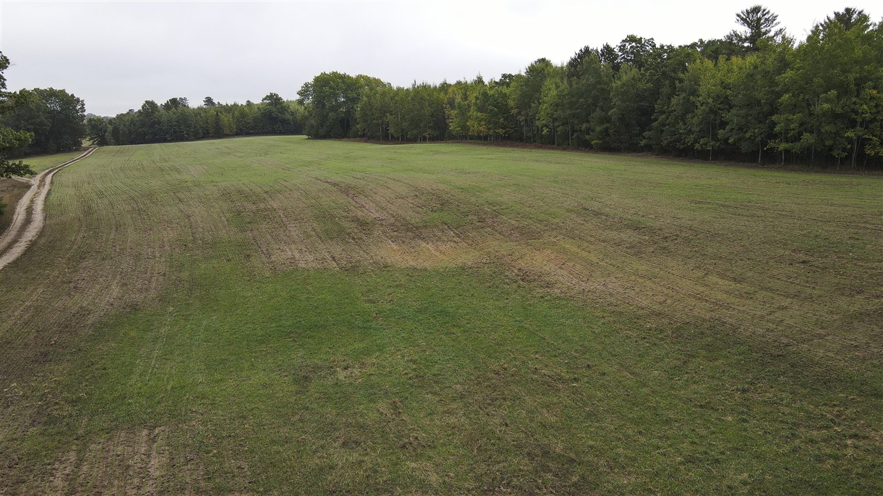 11048 Wilson Road Lake City, MI 49651 - Photo 24 of 89 Gallery Image 24