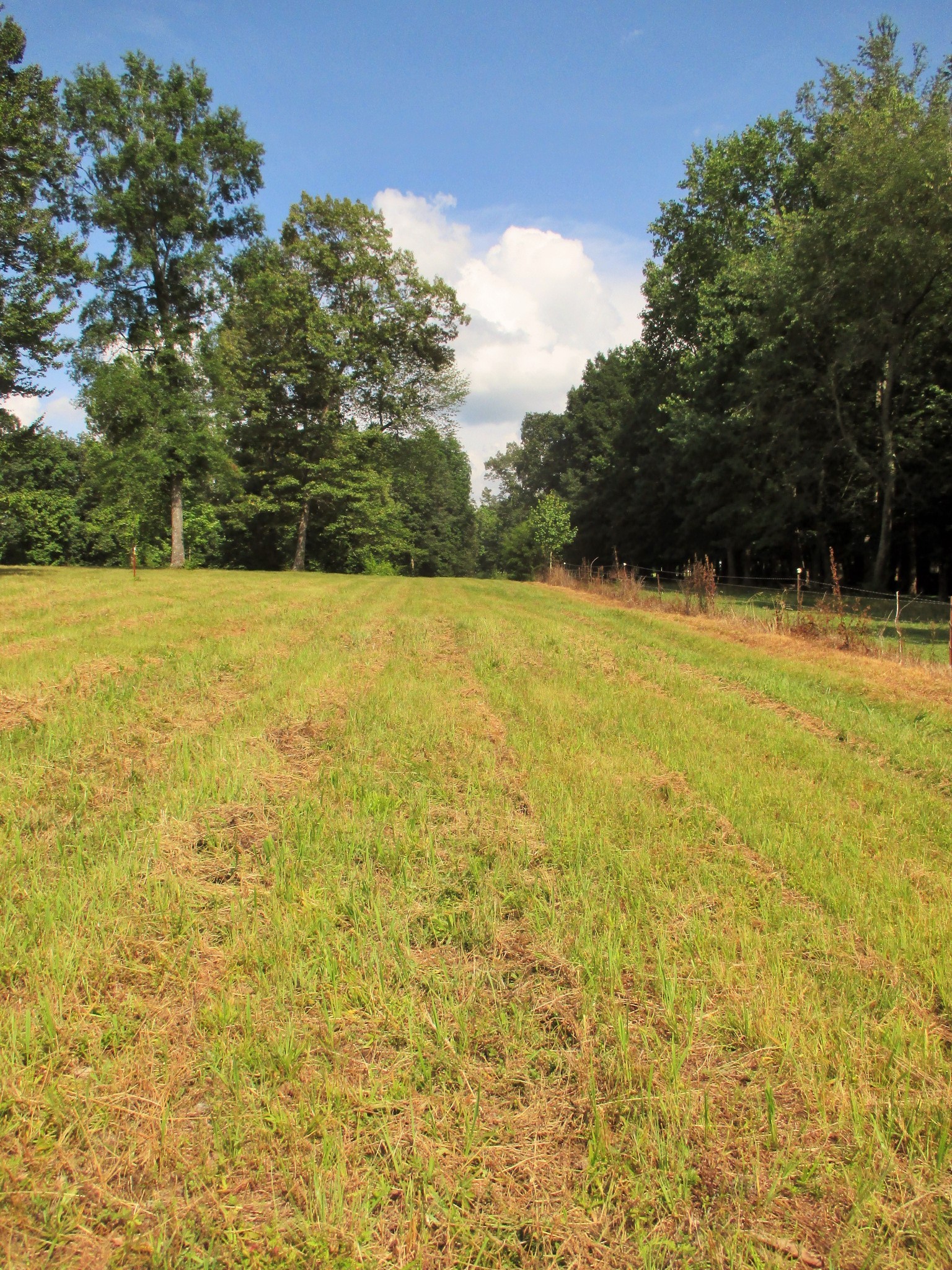 0 Spring Meadows Lane Morrison, TN 37357 - Photo 14 of 28 a view of an ocean view