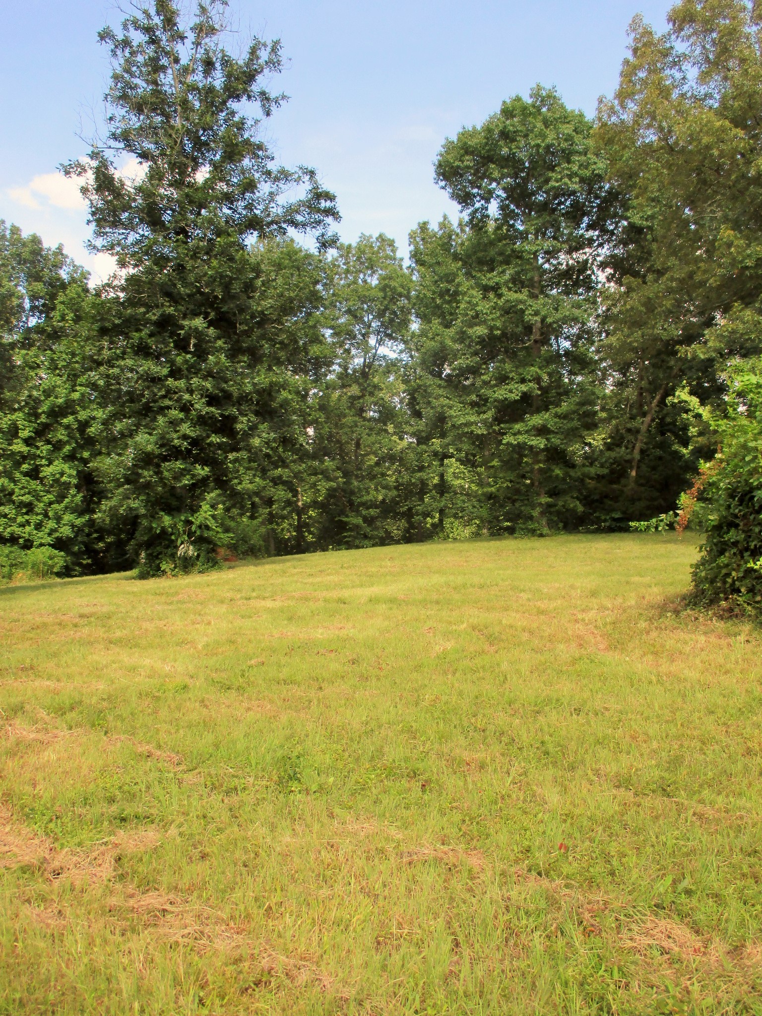 0 Spring Meadows Lane Morrison, TN 37357 - Photo 3 of 28 a view of ocean view